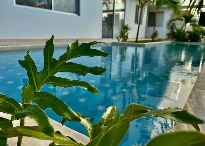 Rosa Azul 4*